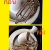 S__1654793.jpg